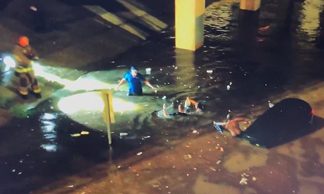 Cop cars are swept away in Dallas after torrential downpours and 14 million are under flood watch