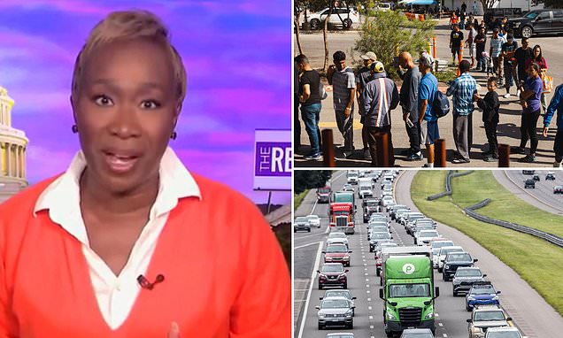 Joy Reid slammed for comparing Florida residents fleeing Ian to illegal migrants flooding the border