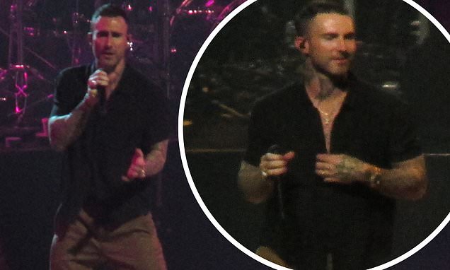 Adam Levine 'supported by wife Behati Prinsloo' at annual fundraising gala... after sexting scandal