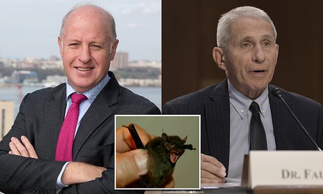 Outcry as British researcher is given ANOTHER grant by NIH to investigate COVID