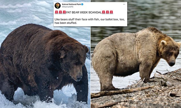 Fat Bear Week is rocked by cheating claims after organizers caught a person spamming the poll