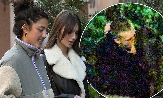 Emily Ratajkowski is seen for the first time after THAT steamy make-out session with DJ Orazio Rispo