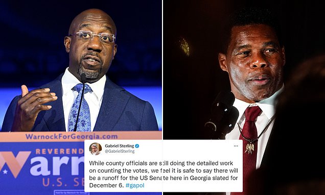 Georgia election official says 'safe to say' Senate race will go to run-off