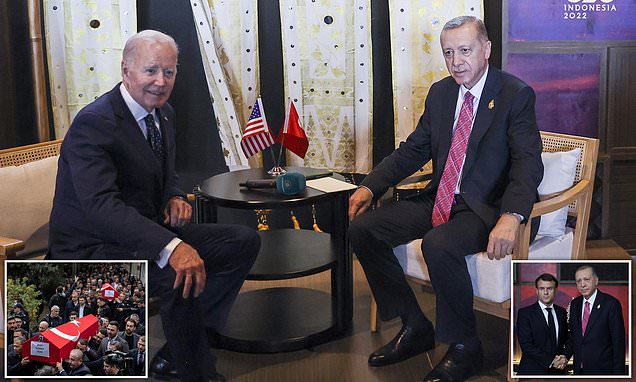 Joe Biden meets Turkish leader Erdogan on sidelines of G20 in Bali