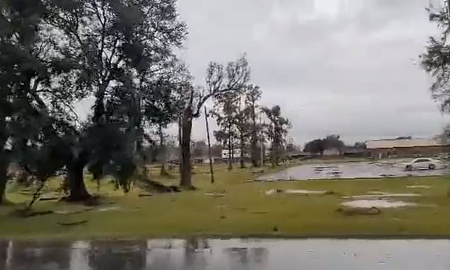 Post-Thanksgiving chaos as hundreds of flights are set to be impacted by storms and powerful winds