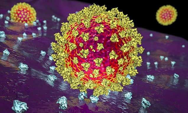 Next big Covid variant WILL be more deadly, according to new study of immuno-compromised patient