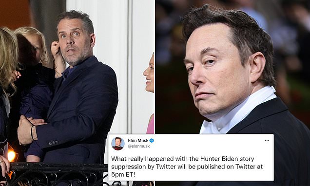 Elon Musk to publish 'What really happened with the Hunter Biden story suppression' on Twitter