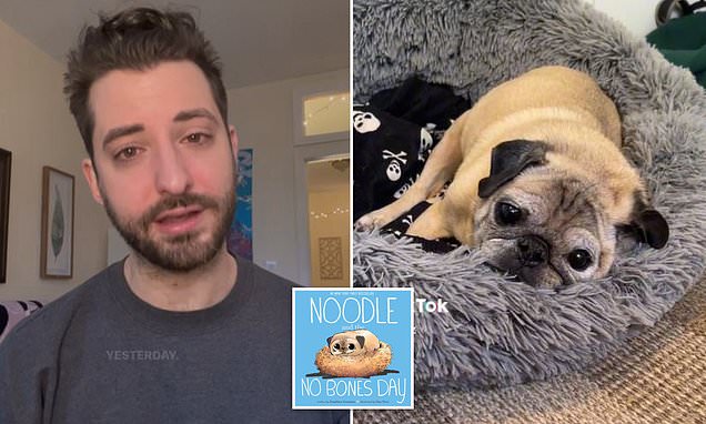 TikTok dog Noodle the Pug dies: Tearful owner announces sad news to pup's 4.5million fans