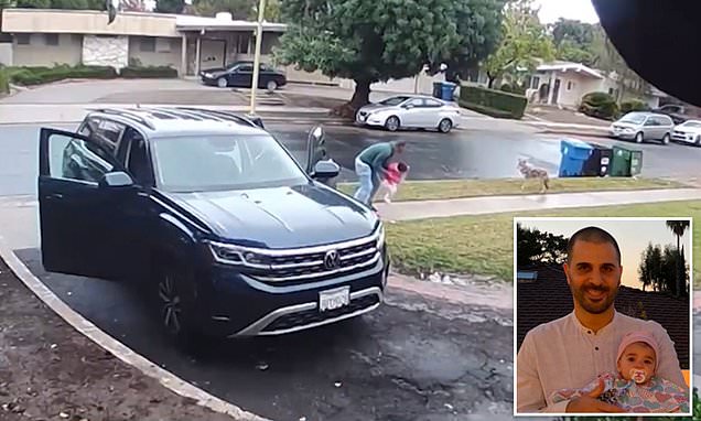Dramatic moment father saves his two-year-old daughter after she was ambushed by a coyote
