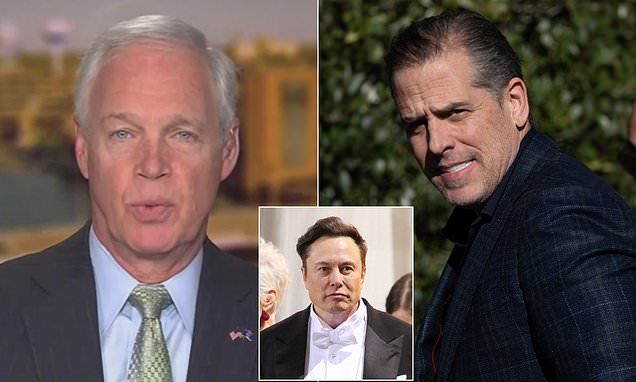 Top Republican senator says there's a 'much larger story' behind Elon Musk's 'Twitter files'