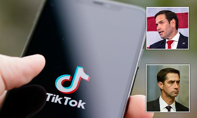 Bipartisan politicians and experts speak out against TikTok claiming it 'corrupts young Americans'