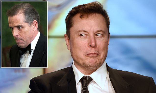 Elon Musk claims his risk of his assassination is 'quite significant'
