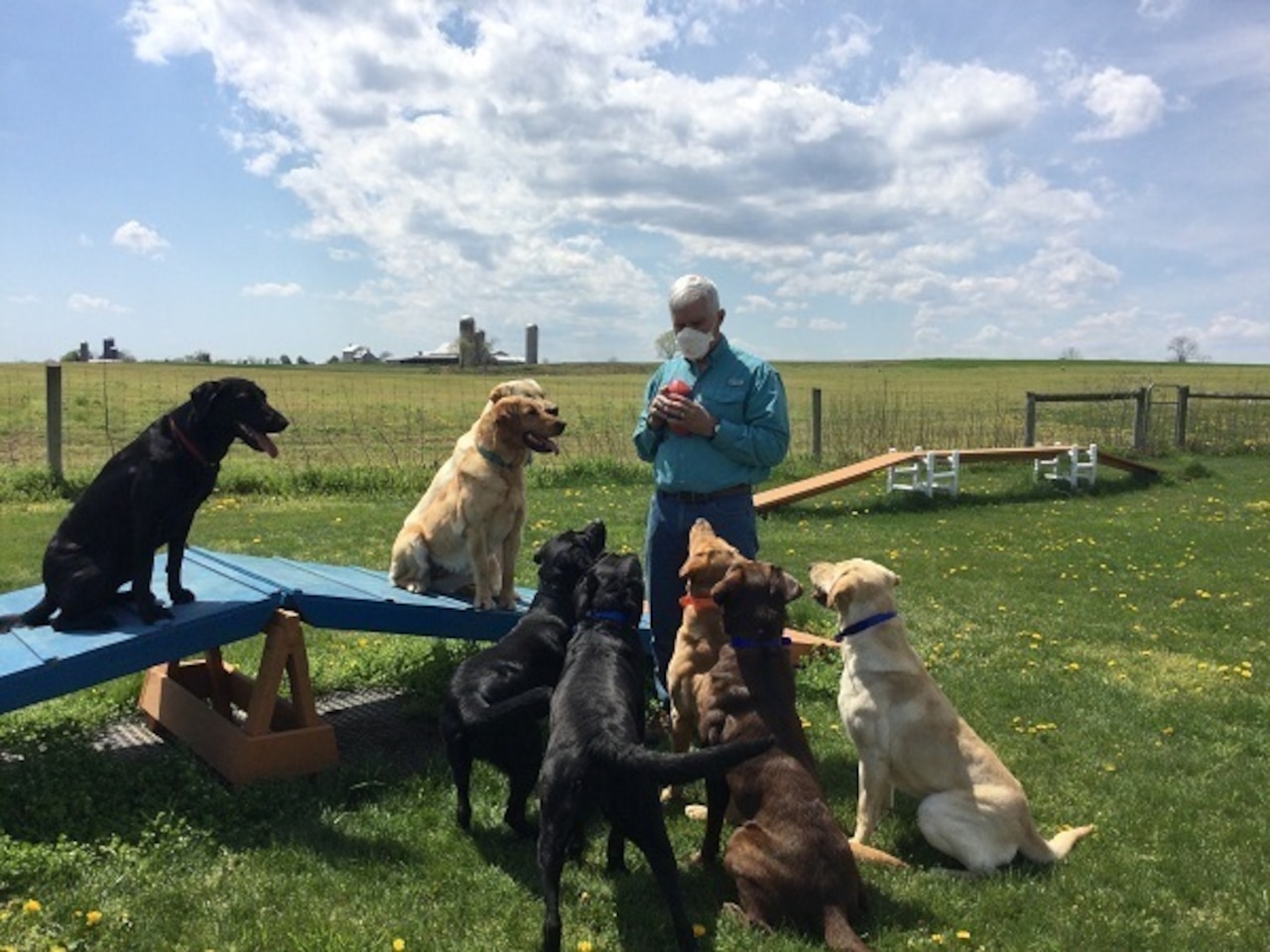 Army Study Evaluates Use of Dogs in COVID-19 Detection