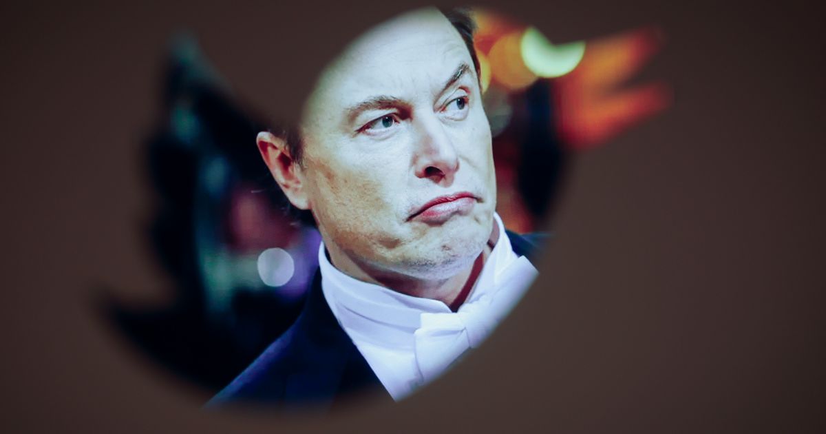 Elon Musk Just Let A Notorious Neo-Nazi Troll Back On Twitter