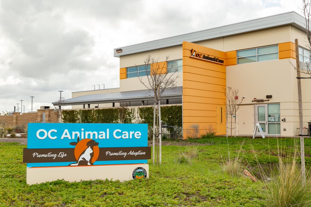 OC Animal Care Holds Free Adoption for 200 Pets