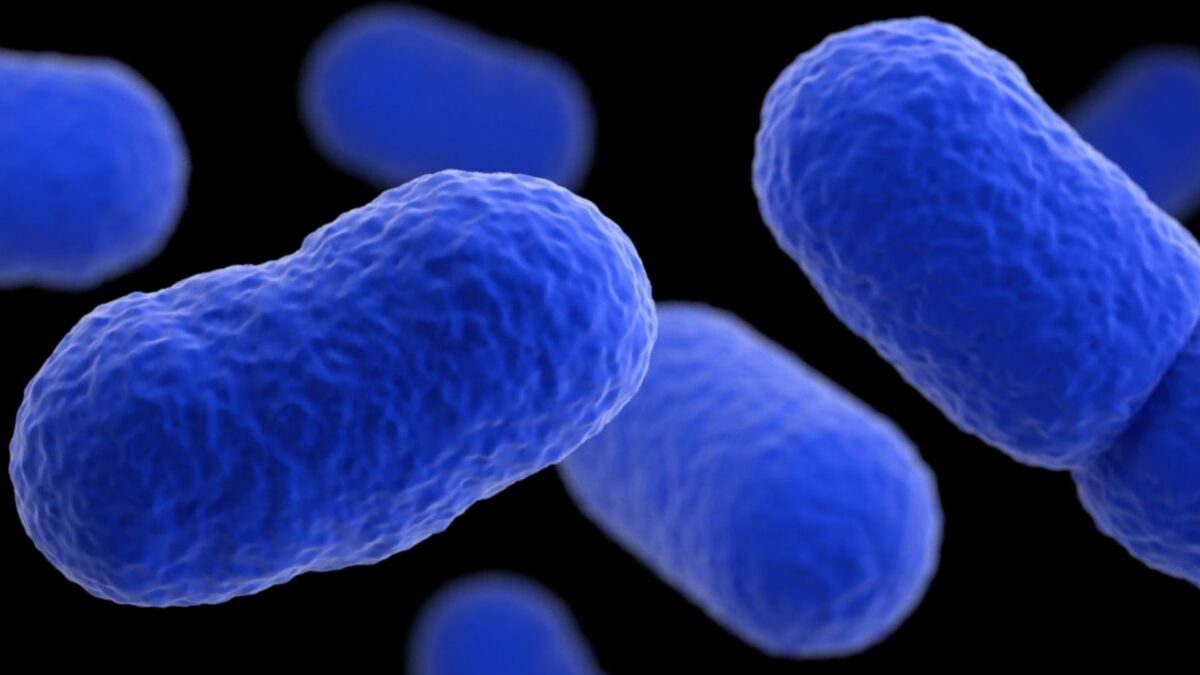 Over 400 Products Including Breakfast Sandwiches, Fruits, Recalled Amid Potential Listeria Contamination