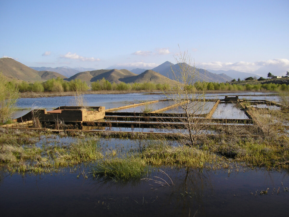 Ghost Towns Resurfacing As Lakes Recede Amid Worsening Western Drought