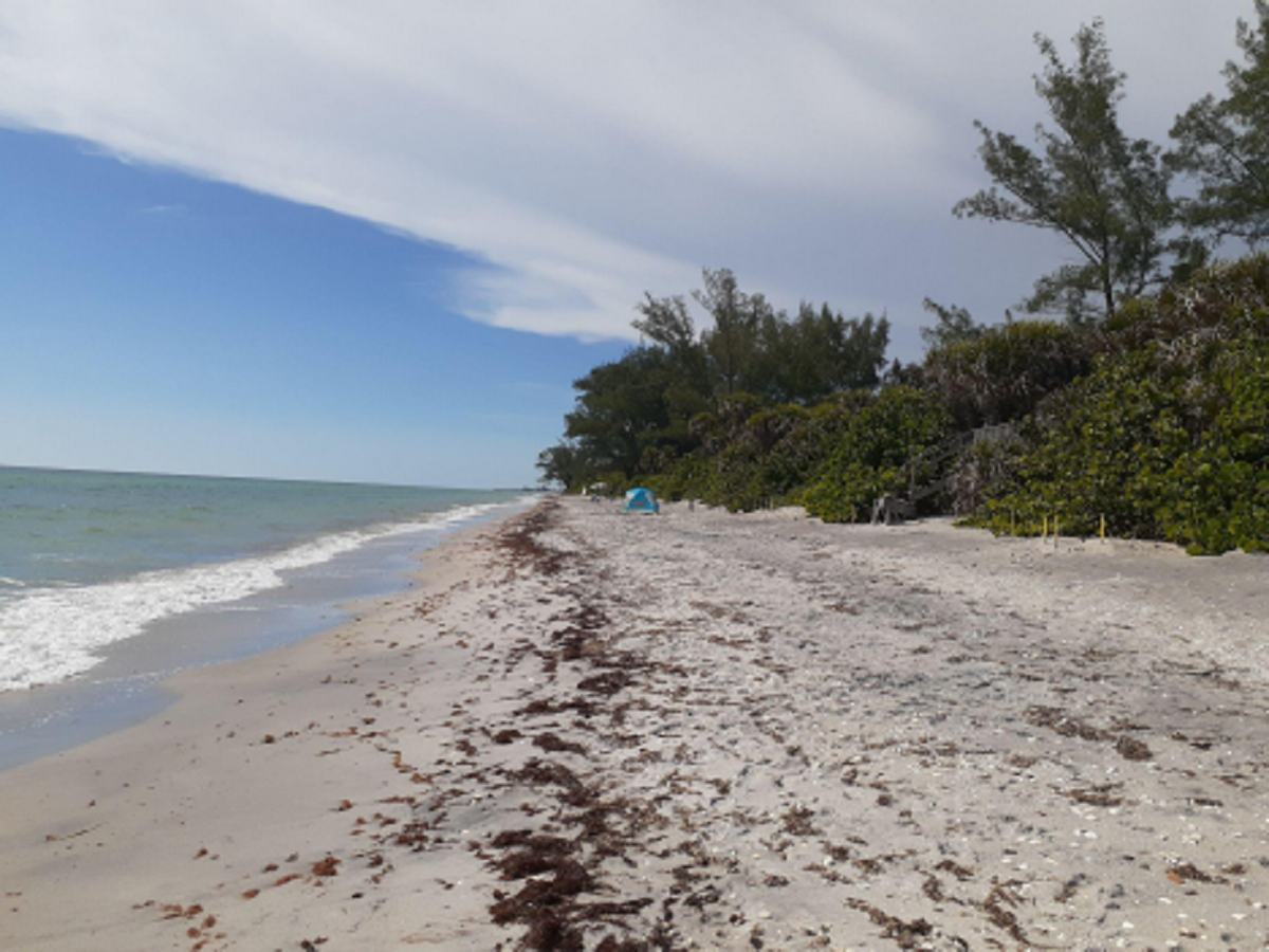 Manasota Key on Southwest Florida’s Gulf Coast