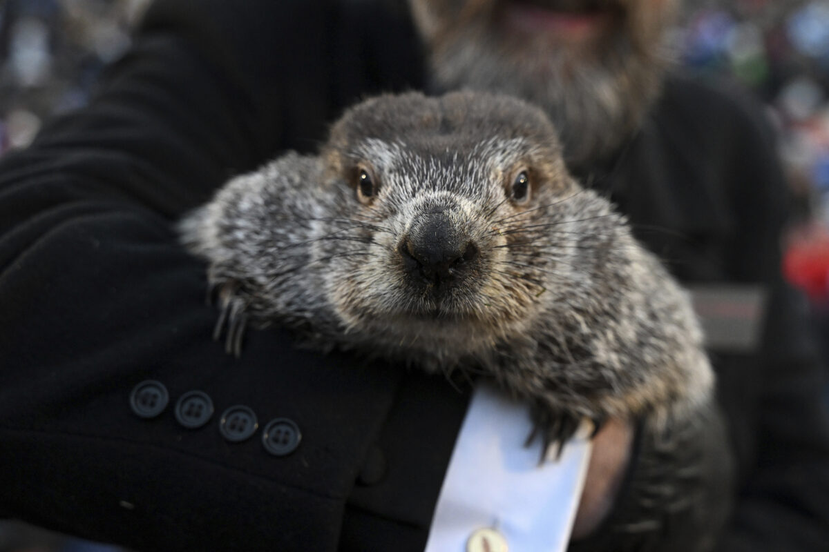 Phil’s Groundhog Day Prediction: 6 More Weeks of Winter