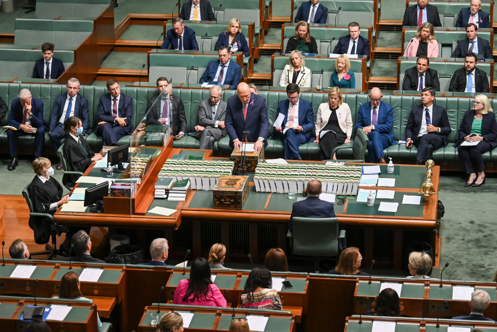 Female Centre-Right Politicians Face ‘Disgusting Vitriol’ Online: Opposition Leader