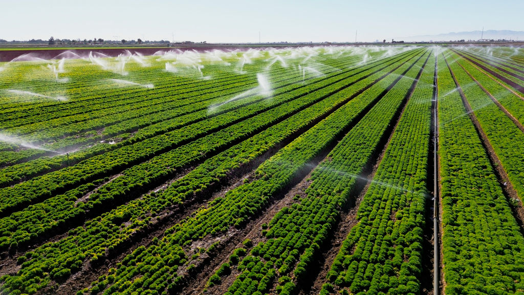 Bipartisan Senators Push to Ban China From Buying US Farmland