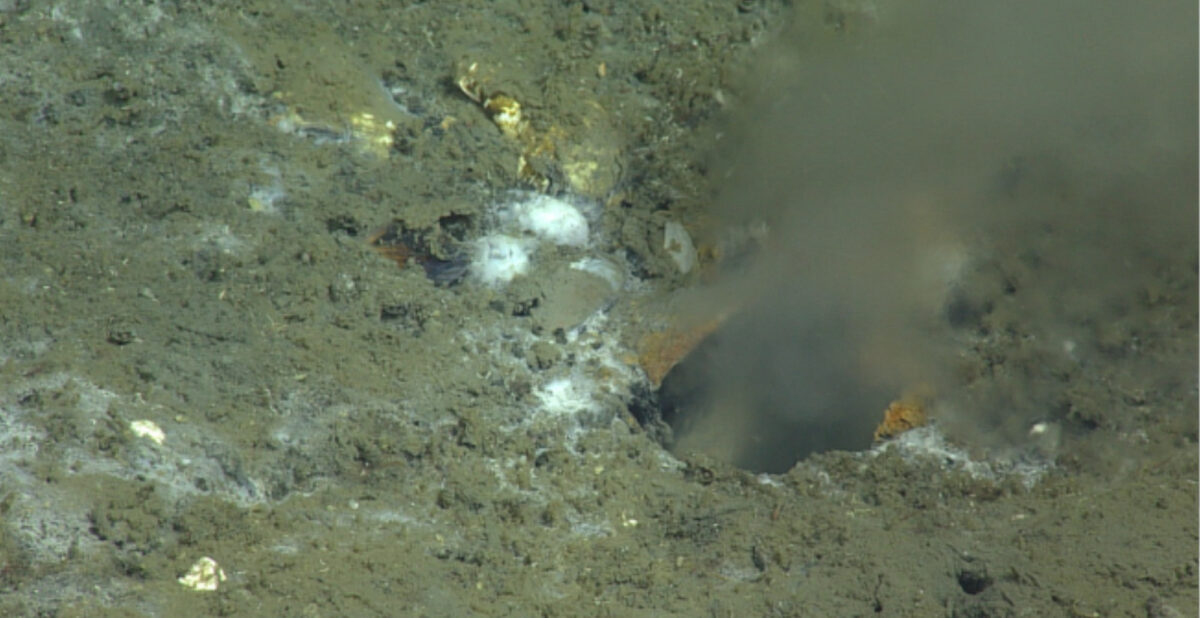 A Leak on Pacific Ocean Floor May Be Source of Earthquake, Scientists Say