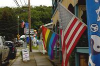 LGBT rights being ‘deliberately undermined’, in some US states: UN expert
