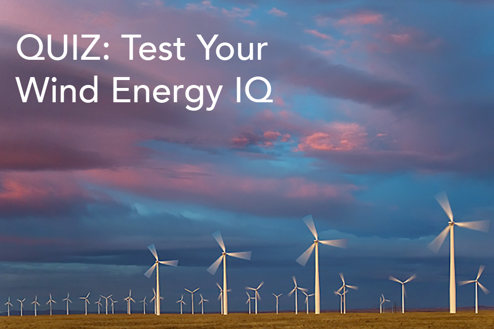 Quiz: Test Your Wind Energy IQ