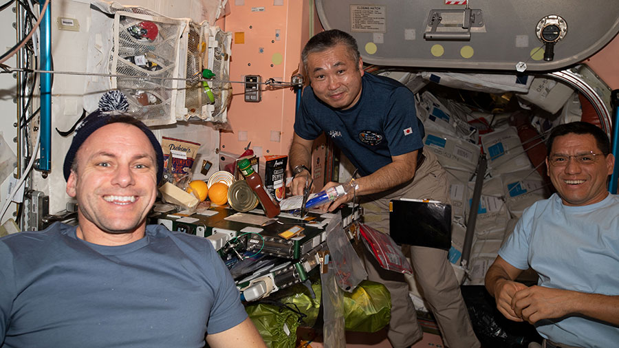 Humans, Tomatoes, Tiny Satellites Top Station Research Schedule