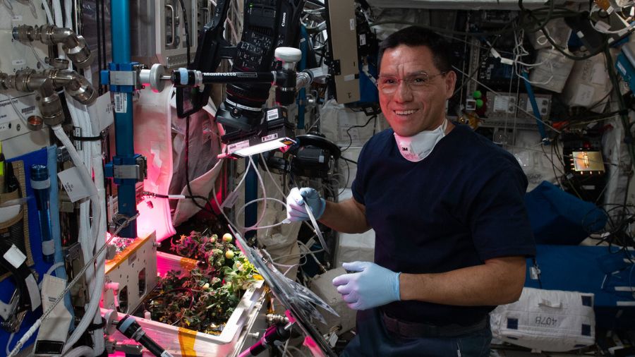 Crew Bioprints Cells, Prepares for Final Plant Harvest, and Conducts Robotics Operations With Students
