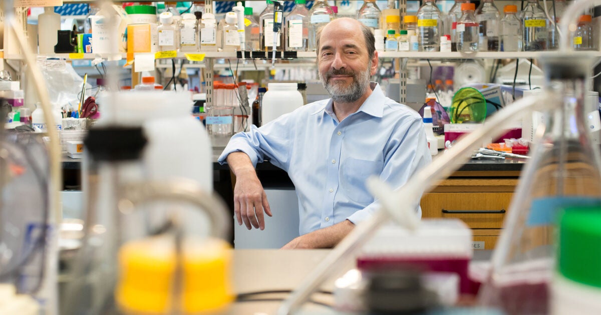 Harvard neurobiologist wins major award for brain plasticity work